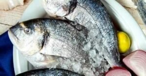 Pará exportou US$ 15 mi de pescado para EUA em 2025 e tarifaço ameaça setor com contratos suspensos