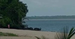 Bombeiros fazem buscas por mulher que desapareceu em praia de Outeiro, em Belém