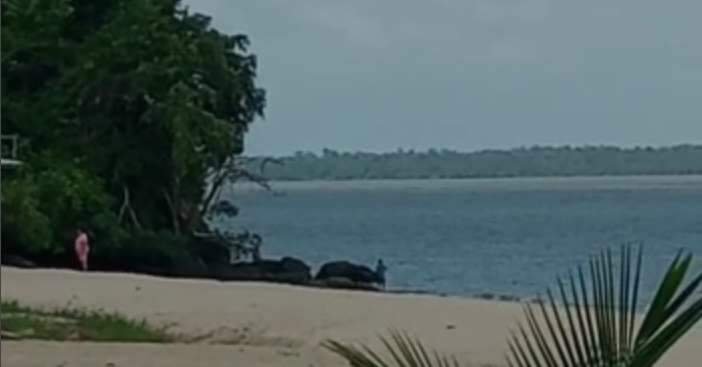 Bombeiros fazem buscas por mulher que desapareceu em praia de Outeiro, em Belém