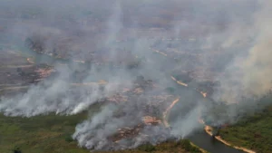 O 1% mais rico do Brasil contribui 7 vezes mais com crise climática que os 10% mais pobres