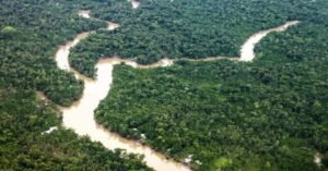 Pará registra o menor índice de desmatamento e reforça protagonismo climático às vésperas da COP 30