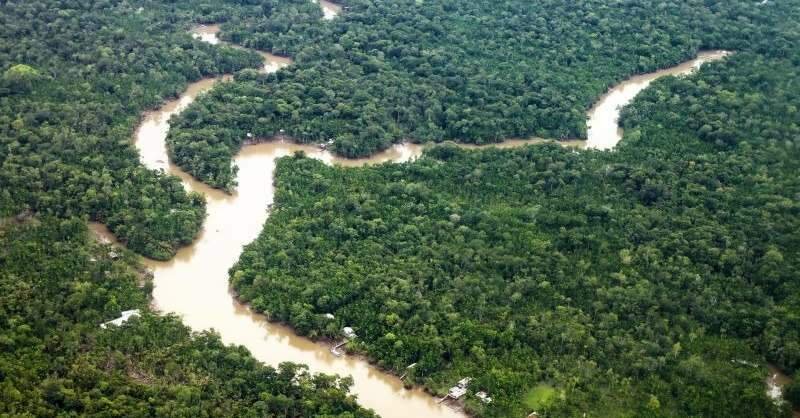 Pará registra o menor índice de desmatamento e reforça protagonismo climático às vésperas da COP 30