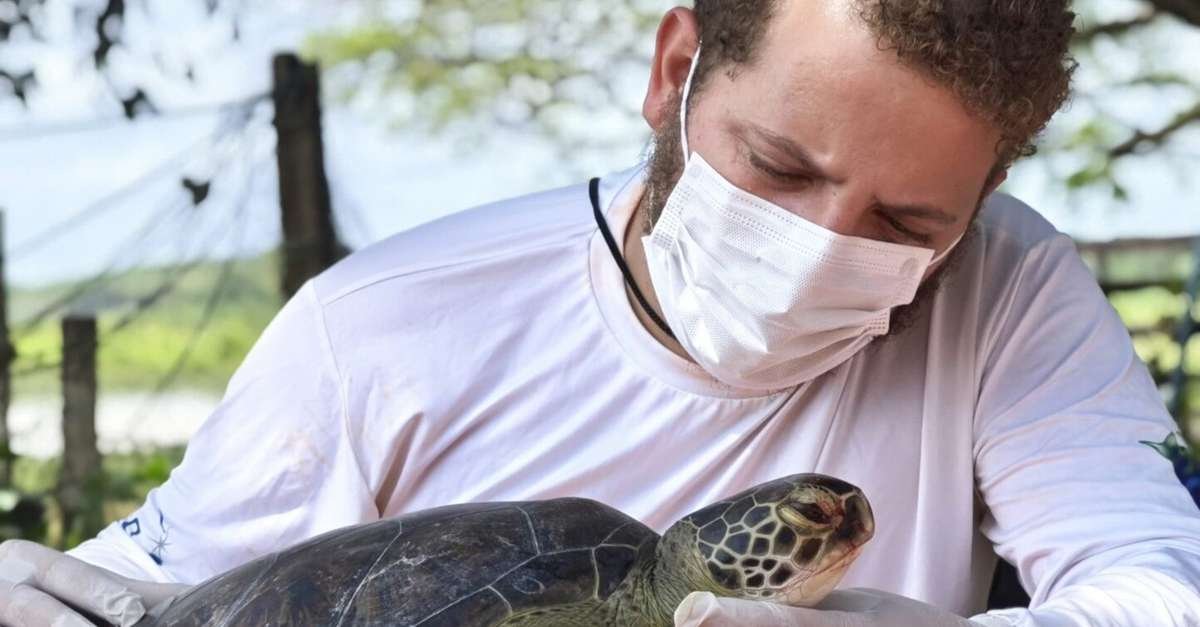Projeto no Pará monitora e fortalece proteção da fauna marinha, incluindo e Salinas e ilha do Marajó