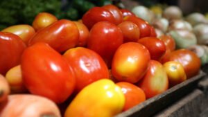 Brasil abre mercado para produto agropecuário na Argentina e no Paraguai