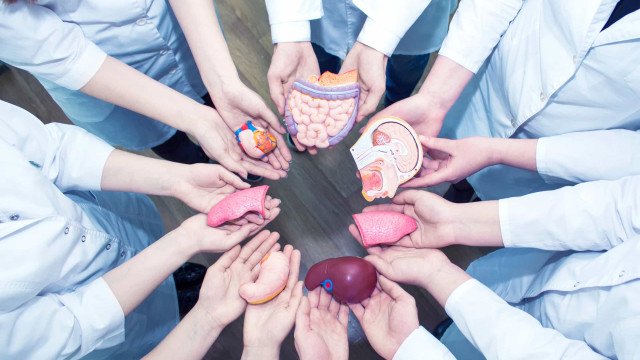 Brasil faz 19,8 mil transplantes de órgãos em 2025 e mantém alta histórica