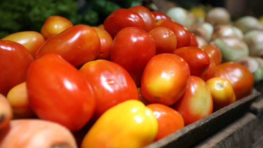 Brasil abre mercado para produto agropecuário na Argentina e no Paraguai