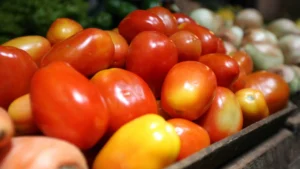 Brasil abre mercado para produto agropecuário na Argentina e no Paraguai