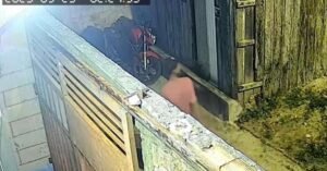 Ladrão invade e rouba casa de madrugada no Curió Utinga