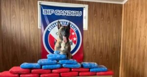 Mais de 20 kg de entorpecentes são apreendidos dentro de embarcação em Óbidos