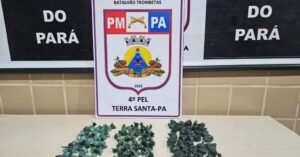 Operação da Polícia Militar apreende drogas e armas no oeste paraense 