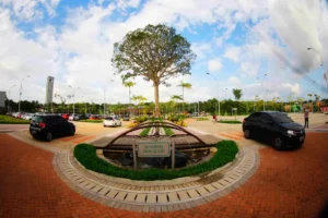Parque do Utinga e APA Combu terão internet reforçada como legado da COP30