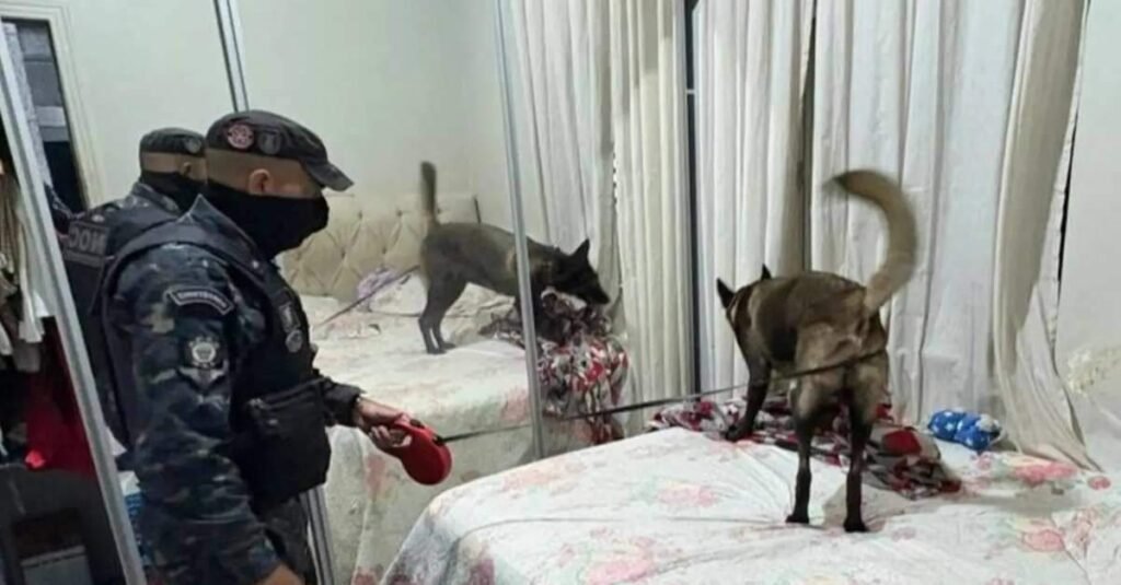 Suspeito que anunciava drogas, ostentava armas e dinheiro nas redes sociais é preso em Castanhal