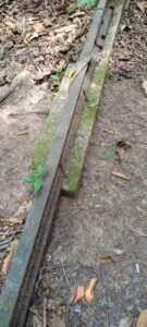 Trilhos de trem são descobertos no Parque do Utinga e revelam parte esquecida da história de Belém