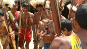 Brasil concentra mais da metade dos povos indígenas isolados do planeta