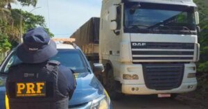 Operação da PRF apreende mais de 300 m³ de madeira ilegal e resgata 7 animais silvestres no Pará