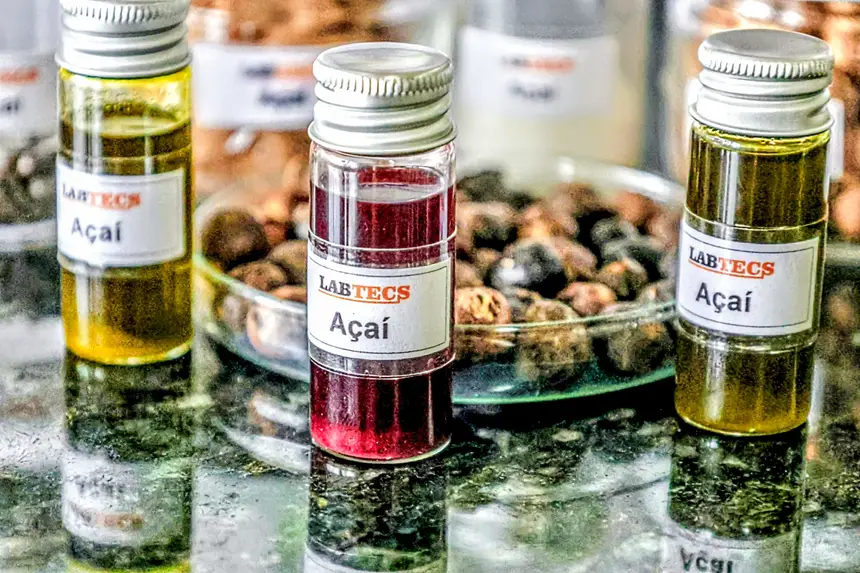 Pesquisadores da UFPA criam azeite inédito a partir do açaí com alto valor nutritivo e potencial econômico