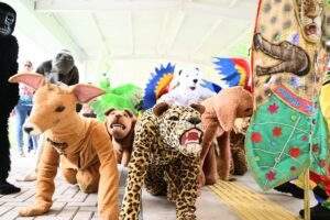 Bicharada do Juaba, tradição ribeirinha de Cametá, vira alvo de ataques de páginas bolsonaristas