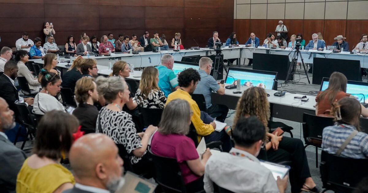 COP30 dedica décimo dia a debates sobre agricultura, gênero, segurança alimentar e implementação de soluções climáticas