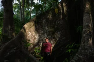 Chocolate paraense ganha destaque no The New York Times durante a COP30