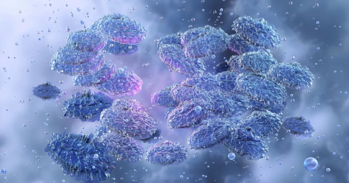 Doenças da Idade Média continuam circulando e fazendo vítimas; saiba mais