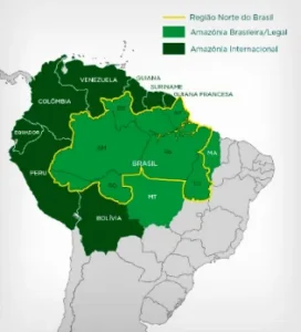 Entenda a diferença entre Amazônia, Amazonas, Amazônia Legal e Região Amazônica