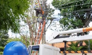 Equatorial tem lucro líquido ajustado de R$ 830 milhões no 3º tri