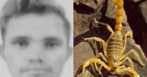 Homem morre após ser picado por escorpião em área de garimpo em Itaituba