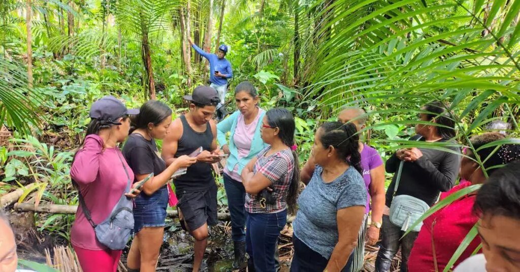 Inteligência artificial e inovação transformam agricultura no Pará