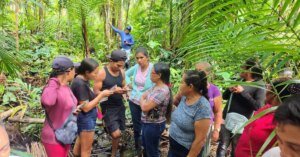Inteligência artificial e inovação transformam agricultura no Pará