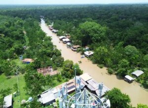 Maioria nunca ouviu falar da COP antes da edição no Brasil, diz pesquisa