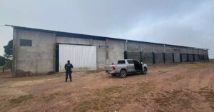 PF desarticula esquema bilionário de grilagem e desmatamento em Altamira, no oeste paraense