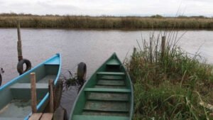 Pesquisadora é achada morta após cair em rio durante coleta de água no RS