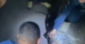 Gato-maracajá morre atropelado na BR-422, em Tucuruí, sudeste paraense