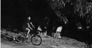 Gatos são abandonados por homens nas margens do canal São Joaquim, em Belém