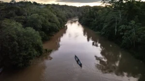 Menina de 2 anos morre depois de ser atacada por piranhas no rio Amazonas