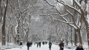 Nova York declara estado de emergência em meio a nevasca