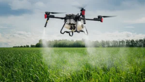 Retrospectiva 2025: As maiores descobertas científicas desse ano